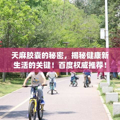 天麻膠囊的秘密，揭秘健康新生活的關(guān)鍵！百度權(quán)威推薦！