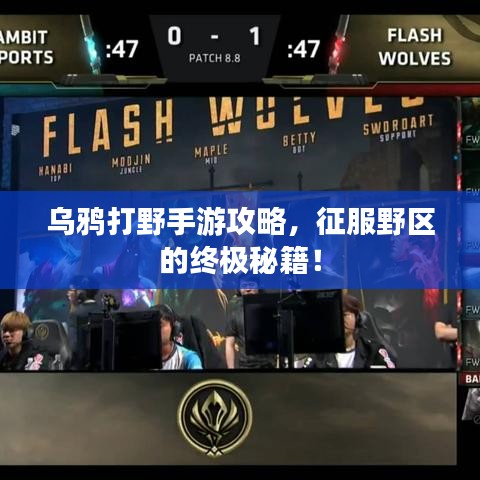 烏鴉打野手游攻略，征服野區(qū)的終極秘籍！