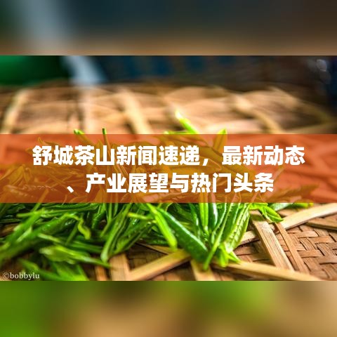 舒城茶山新聞速遞，最新動態(tài)、產(chǎn)業(yè)展望與熱門頭條