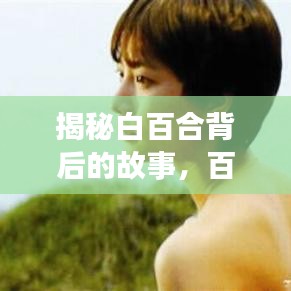 揭秘白百合背后的故事，百度背后的故事引人探尋