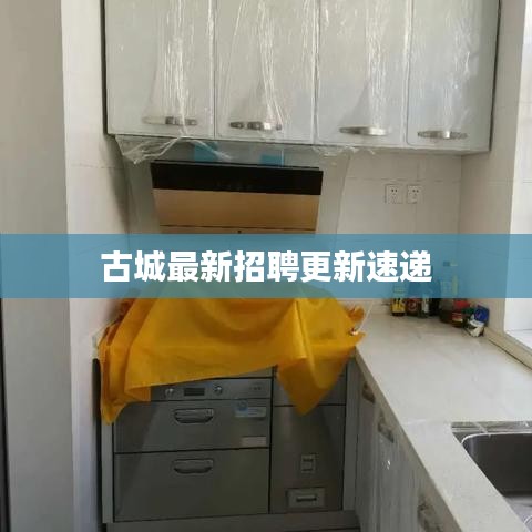 飛燕化龍 第3頁