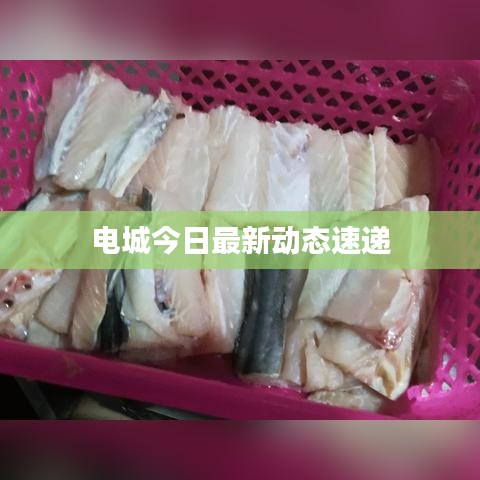 電城今日最新動態(tài)速遞