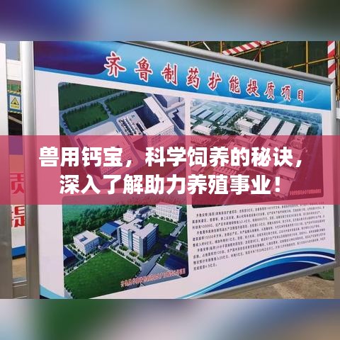 獸用鈣寶，科學(xué)飼養(yǎng)的秘訣，深入了解助力養(yǎng)殖事業(yè)！