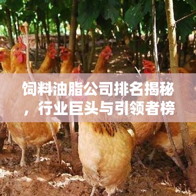 飼料油脂公司排名揭秘，行業(yè)巨頭與引領者榜單