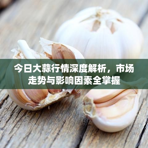 今日大蒜行情深度解析，市場走勢與影響因素全掌握