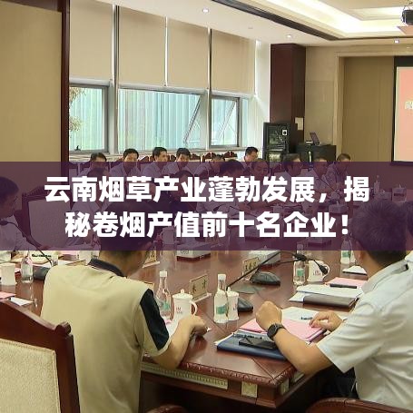 云南煙草產(chǎn)業(yè)蓬勃發(fā)展，揭秘卷煙產(chǎn)值前十名企業(yè)！