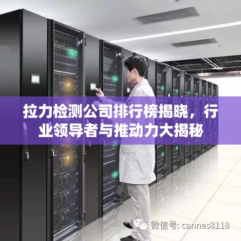 拉力檢測(cè)公司排行榜揭曉，行業(yè)領(lǐng)導(dǎo)者與推動(dòng)力大揭秘