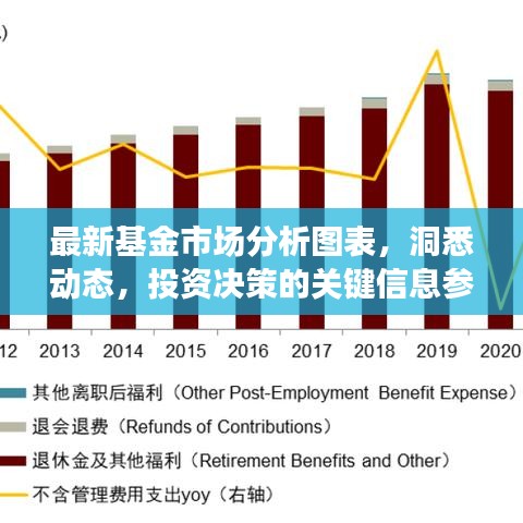 最新基金市場分析圖表，洞悉動態(tài)，投資決策的關(guān)鍵信息參考