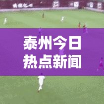 泰州今日熱點新聞綜述，最新消息一覽