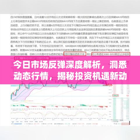 今日市場反彈深度解析，洞悉動態(tài)行情，揭秘投資機(jī)遇新動向