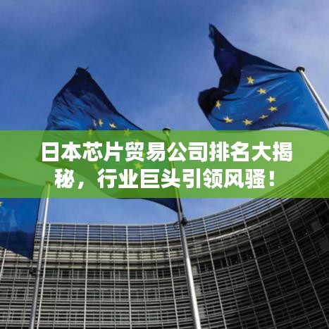 日本芯片貿(mào)易公司排名大揭秘，行業(yè)巨頭引領(lǐng)風(fēng)騷！
