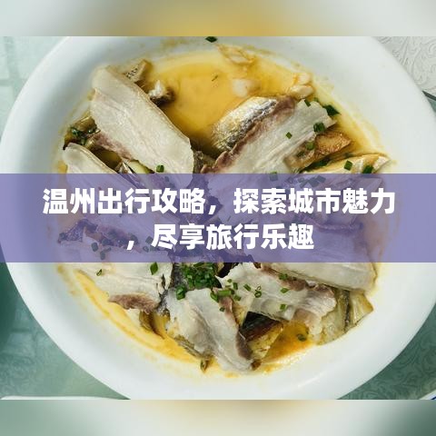 溫州出行攻略，探索城市魅力，盡享旅行樂趣