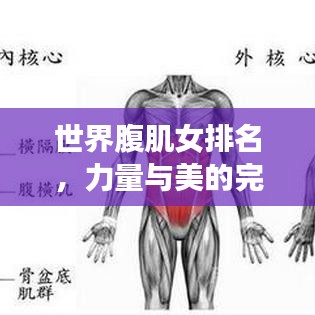世界腹肌女排名，力量與美的完美結(jié)合，震撼你的視覺！