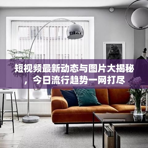 短視頻最新動態(tài)與圖片大揭秘，今日流行趨勢一網(wǎng)打盡
