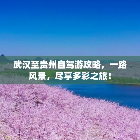 武漢至貴州自駕游攻略，一路風景，盡享多彩之旅！