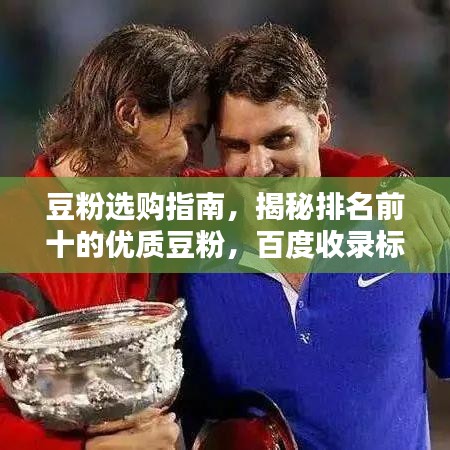 豆粉選購(gòu)指南，揭秘排名前十的優(yōu)質(zhì)豆粉，百度收錄標(biāo)準(zhǔn)吸睛標(biāo)題