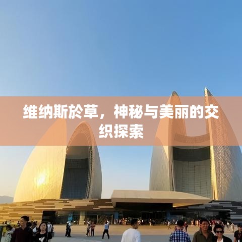 維納斯於草，神秘與美麗的交織探索