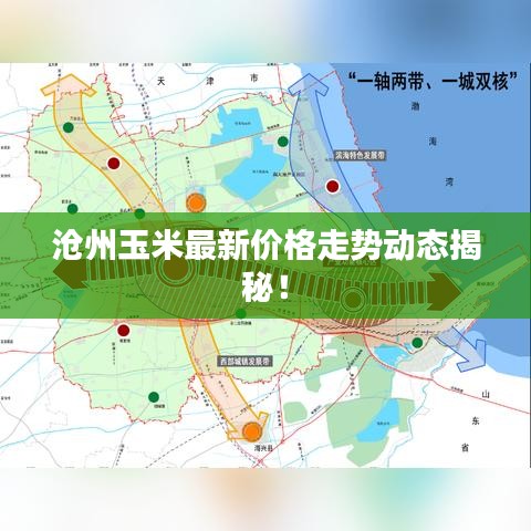 滄州玉米最新價(jià)格走勢(shì)動(dòng)態(tài)揭秘！