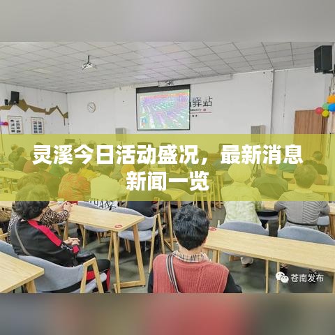 靈溪今日活動盛況，最新消息新聞一覽