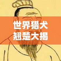 世界獵犬翹楚大揭秘，最佳獵犬排名榜單！