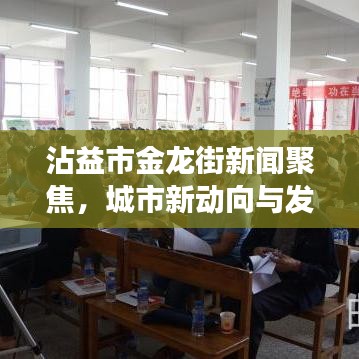 沾益市金龍街新聞聚焦，城市新動向與發(fā)展亮點揭秘