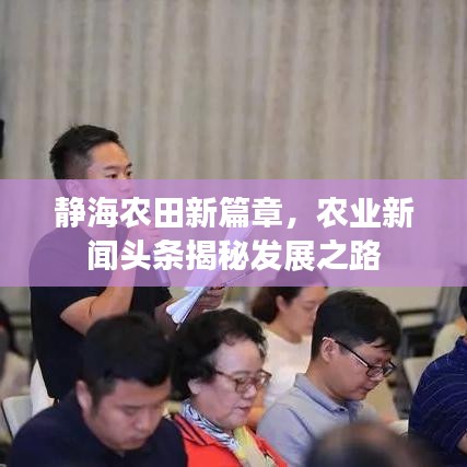 靜海農(nóng)田新篇章，農(nóng)業(yè)新聞?lì)^條揭秘發(fā)展之路