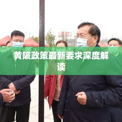 黃陂政策最新要求深度解讀