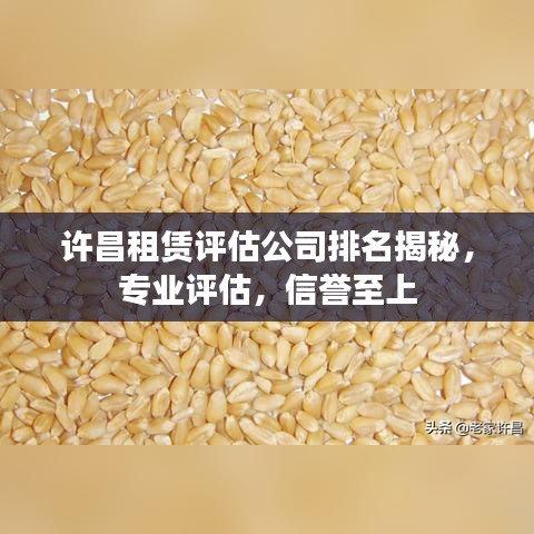 許昌租賃評估公司排名揭秘，專業(yè)評估，信譽至上