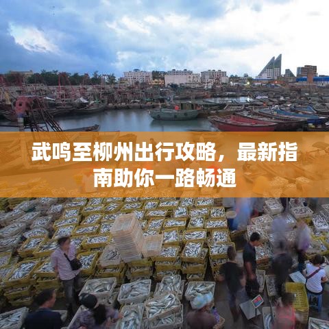 武鳴至柳州出行攻略，最新指南助你一路暢通