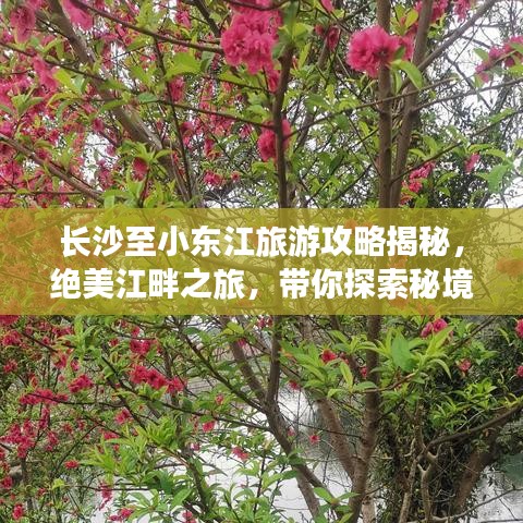 長沙至小東江旅游攻略揭秘，絕美江畔之旅，帶你探索秘境之美
