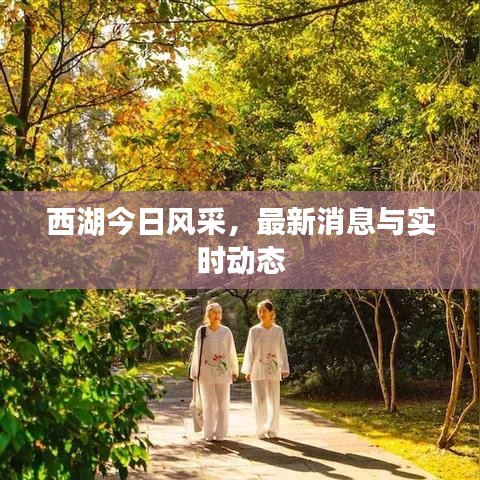 西湖今日風(fēng)采，最新消息與實(shí)時(shí)動(dòng)態(tài)