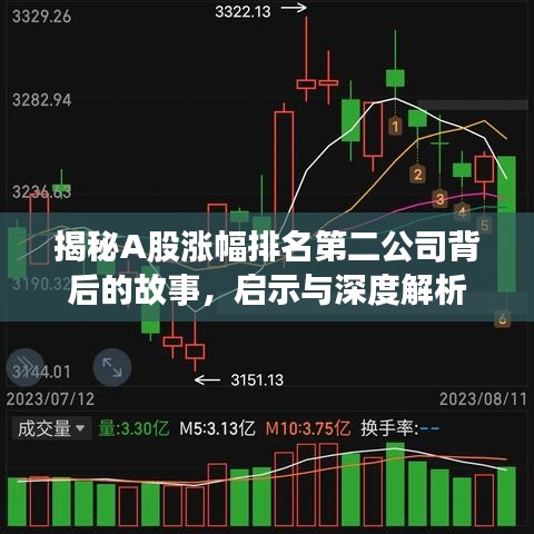 揭秘A股漲幅排名第二公司背后的故事，啟示與深度解析