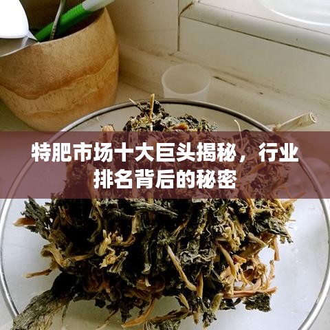 特肥市場(chǎng)十大巨頭揭秘，行業(yè)排名背后的秘密