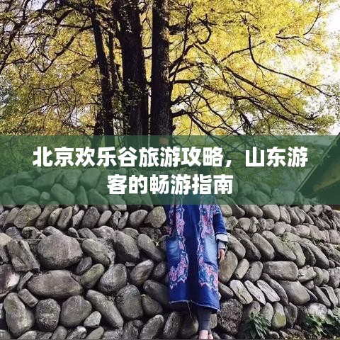 北京歡樂谷旅游攻略，山東游客的暢游指南