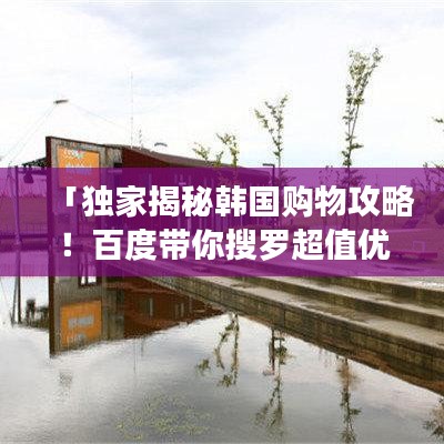 「獨家揭秘韓國購物攻略！百度帶你搜羅超值優(yōu)惠！」