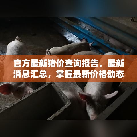 官方最新豬價(jià)查詢報(bào)告，最新消息匯總，掌握最新價(jià)格動(dòng)態(tài)