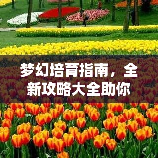 夢幻培育指南，全新攻略大全助你輕松掌握技巧！