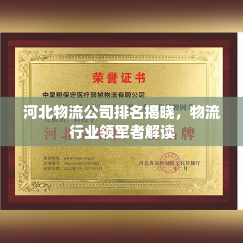 河北物流公司排名揭曉，物流行業(yè)領軍者解讀