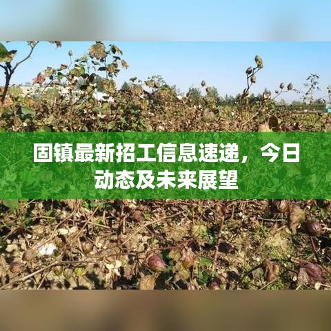 固鎮(zhèn)最新招工信息速遞，今日動態(tài)及未來展望