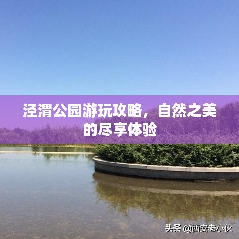 涇渭公園游玩攻略，自然之美的盡享體驗(yàn)