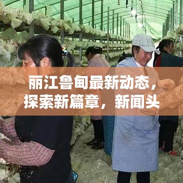 麗江魯?shù)樽钚聞討B(tài)，探索新篇章，新聞頭條盡在掌握