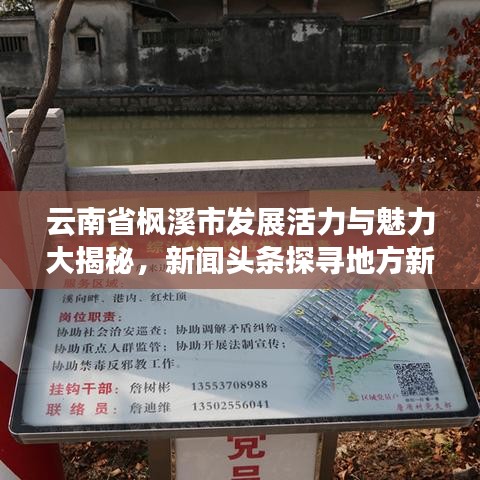 云南省楓溪市發(fā)展活力與魅力大揭秘，新聞?lì)^條探尋地方新動(dòng)向