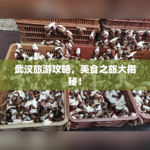 武漢旅游攻略，美食之旅大揭秘！