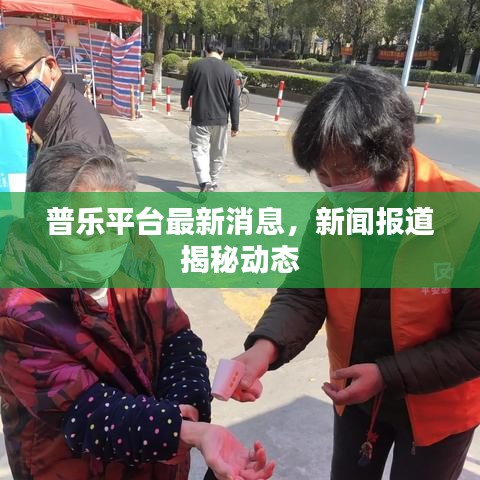 普樂平臺最新消息，新聞報道揭秘動態(tài)