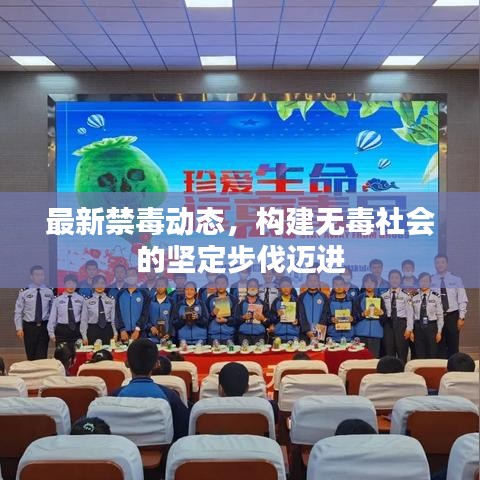 最新禁毒動(dòng)態(tài)，構(gòu)建無(wú)毒社會(huì)的堅(jiān)定步伐邁進(jìn)