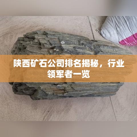 陜西礦石公司排名揭秘，行業(yè)領(lǐng)軍者一覽