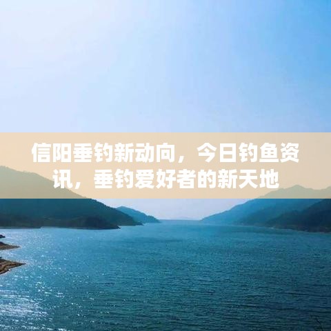 信陽垂釣新動向，今日釣魚資訊，垂釣愛好者的新天地