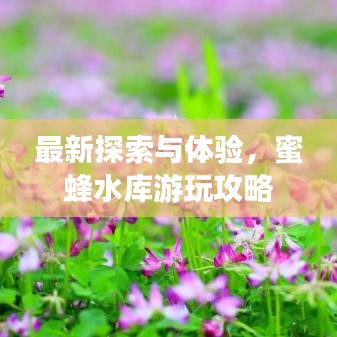 最新探索與體驗(yàn)，蜜蜂水庫游玩攻略