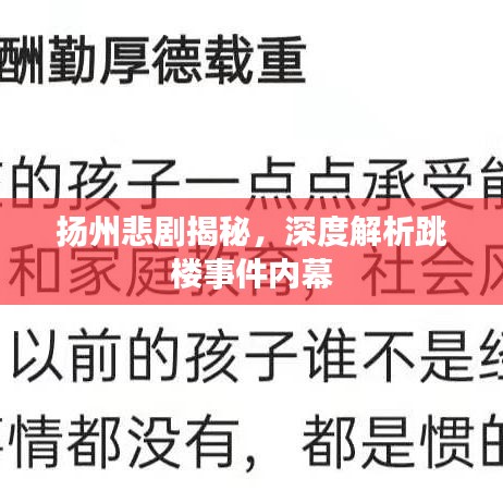 揚(yáng)州悲劇揭秘，深度解析跳樓事件內(nèi)幕