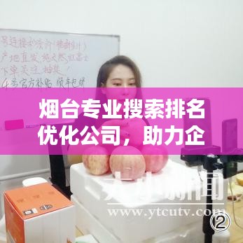煙臺(tái)專業(yè)搜索排名優(yōu)化公司，助力企業(yè)網(wǎng)絡(luò)營(yíng)銷飛躍升級(jí)的新引擎